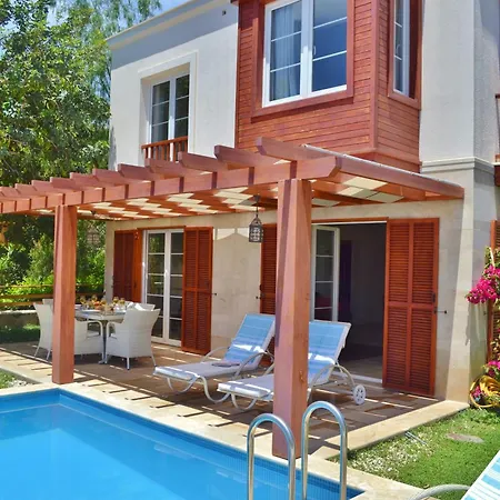 Zeytin Kalkan *
