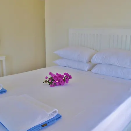 Zeytin Kalkan Villa Kas
