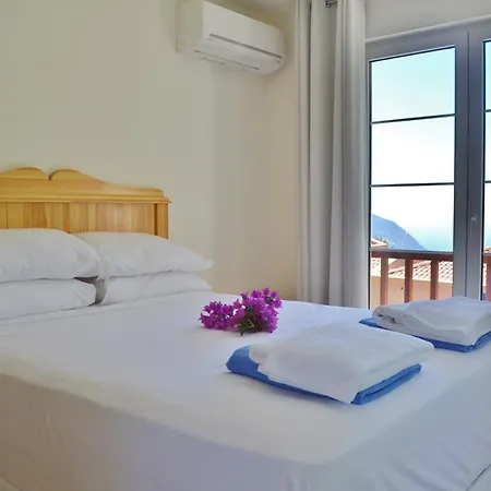 Zeytin Kalkan *