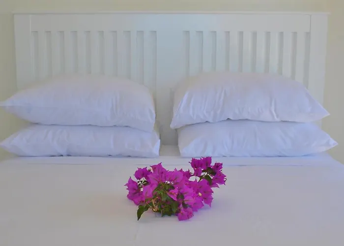 Zeytin Kalkan Villa Kaş