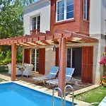 Zeytin Kalkan *