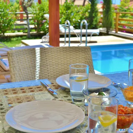 Zeytin Kalkan