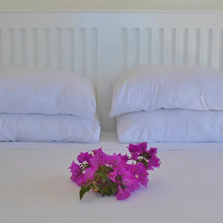 Zeytin Kalkan Villa Kaş