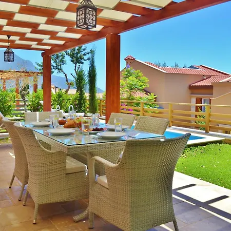 Zeytin Kalkan *