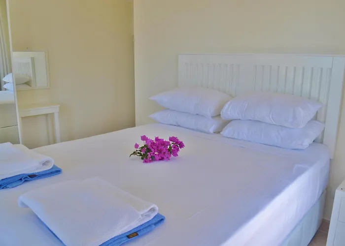 Zeytin Kalkan Vila Kaş